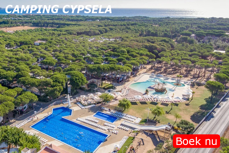 CYPSELA.jpg