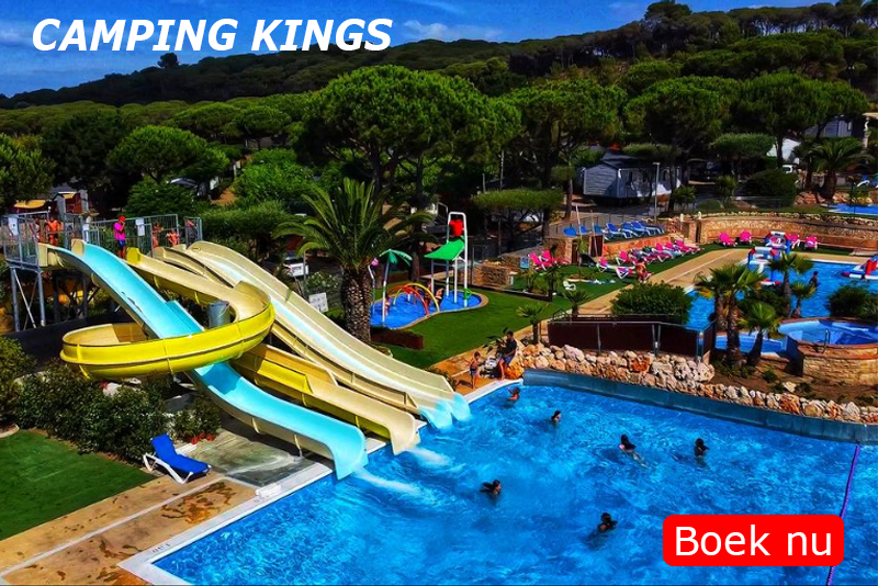 KINGS14.jpg