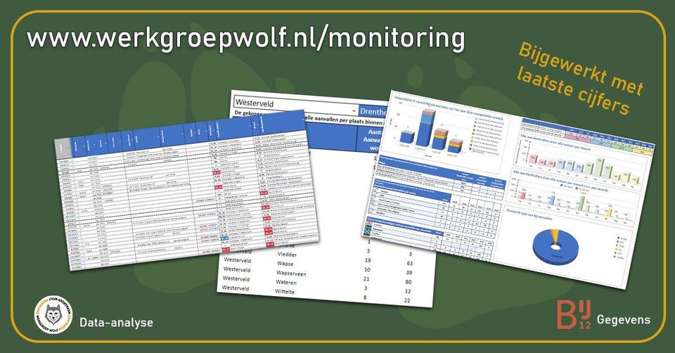 Monitoringpagina