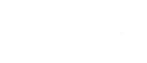 Flower delivery Service for the Netherland