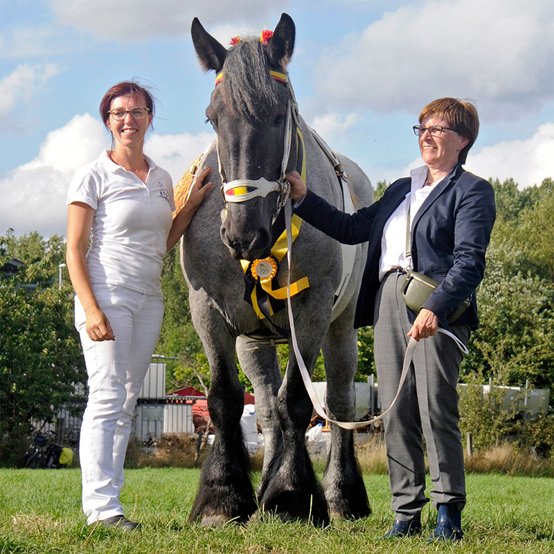 Stal Groenenbroek 